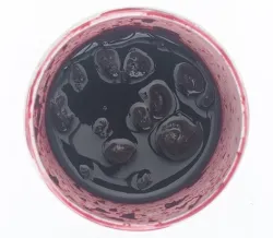 Sour Cherry Flavour Compound